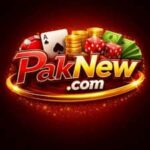 PAKNEW Game