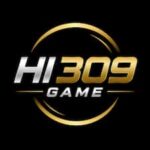 HI309 Game