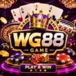 WG88 Game